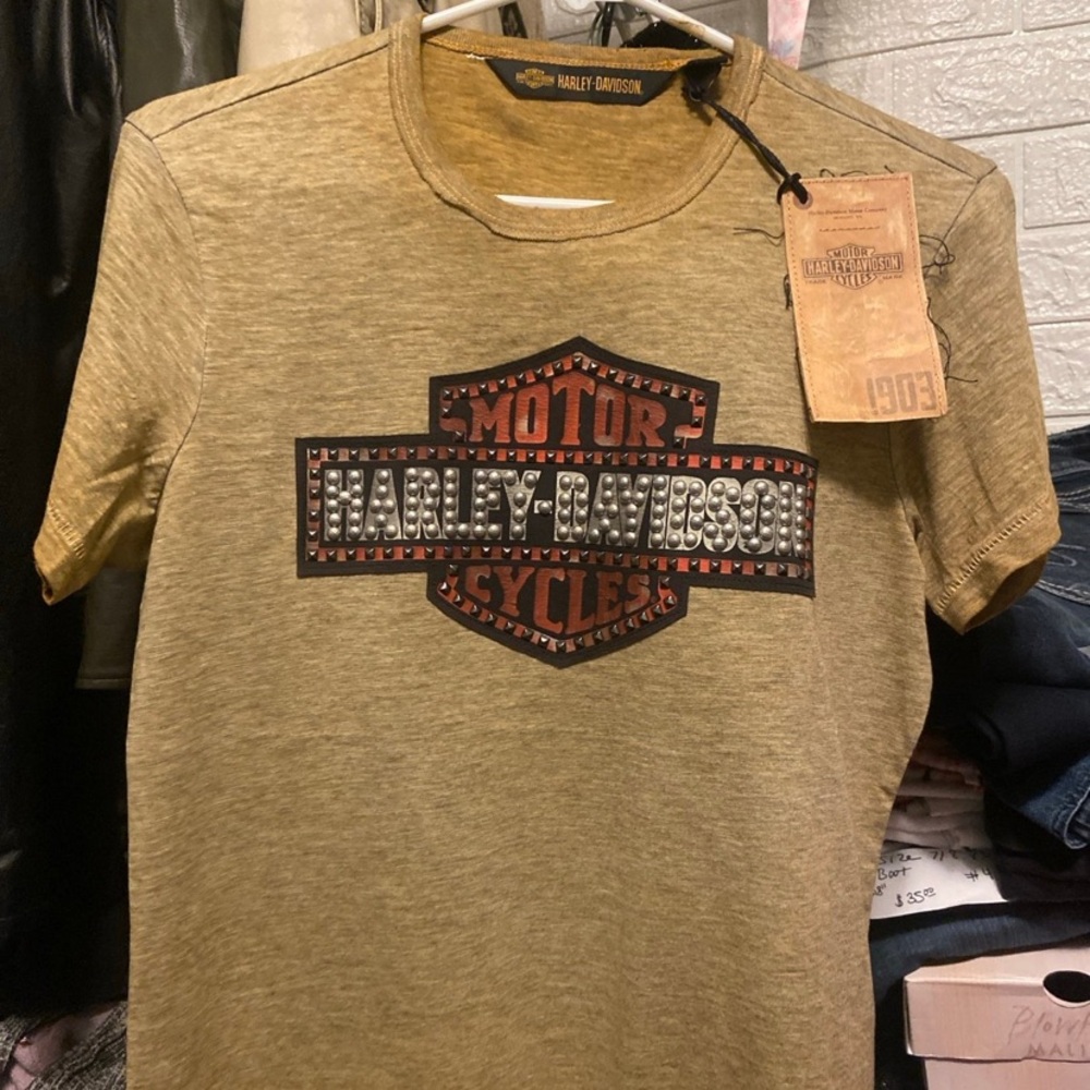 Harley-Davidson Men's Brown Graphic Tee